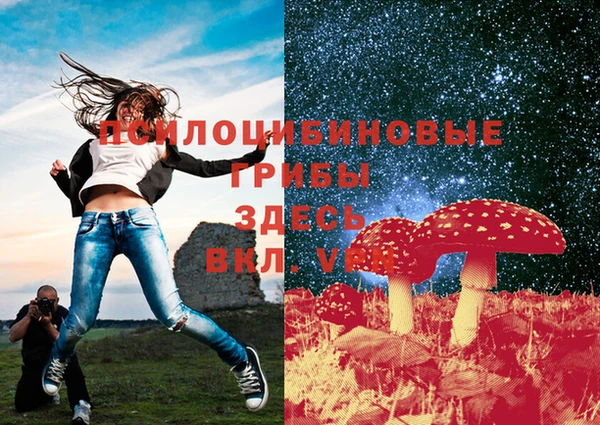 спайс Дмитров