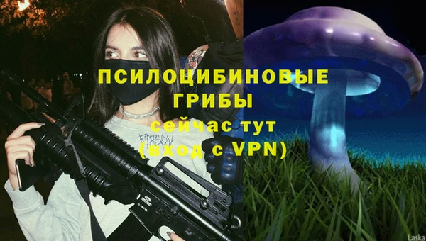 спайс Дмитров