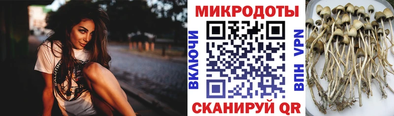 Галлюциногенные грибы мухоморы  цена   Сурск 